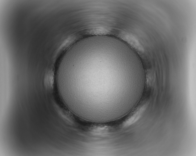 X0000096660206200802261350