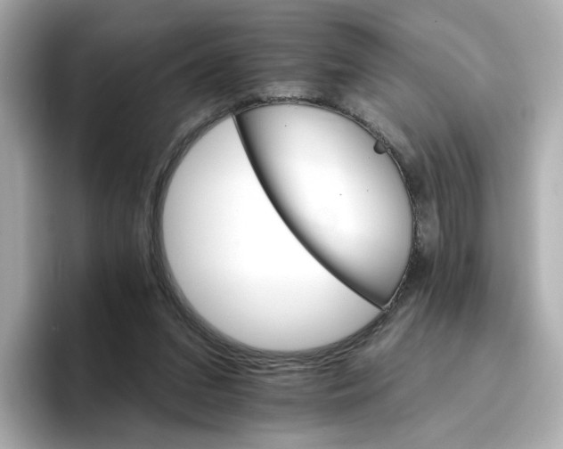 X0000096660207200802261350