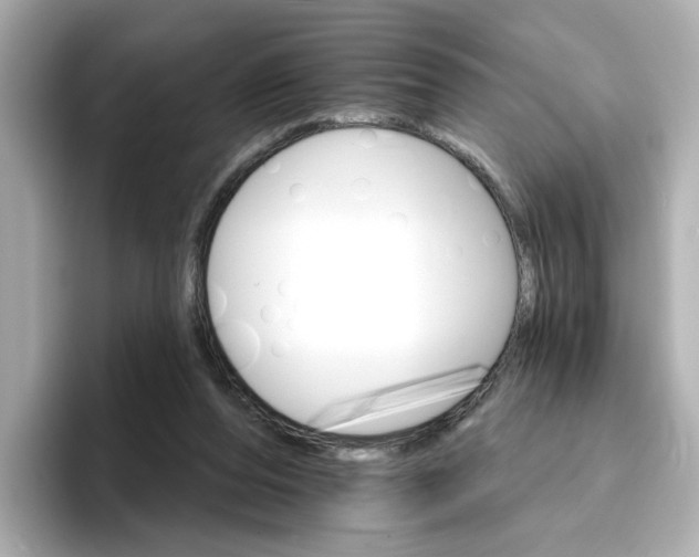 X0000096660208200802261350