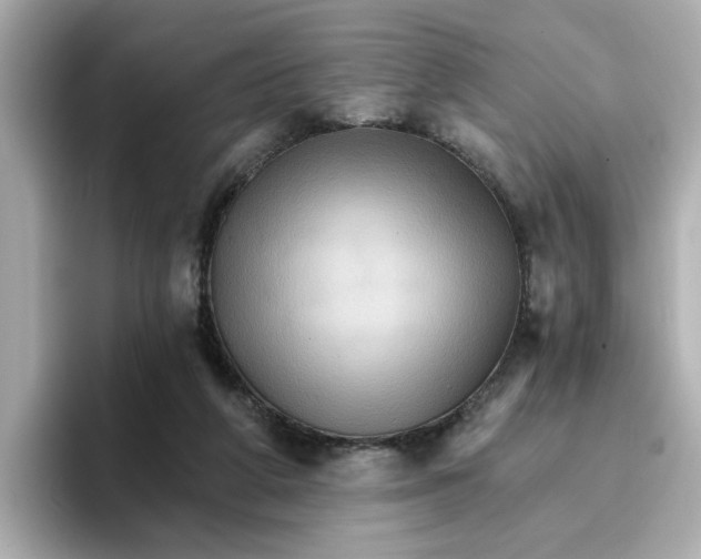 X0000096660210200802261350