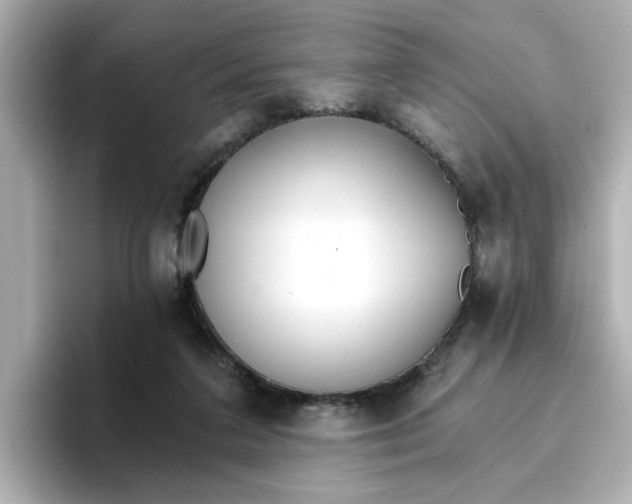 X0000096660211200802261350