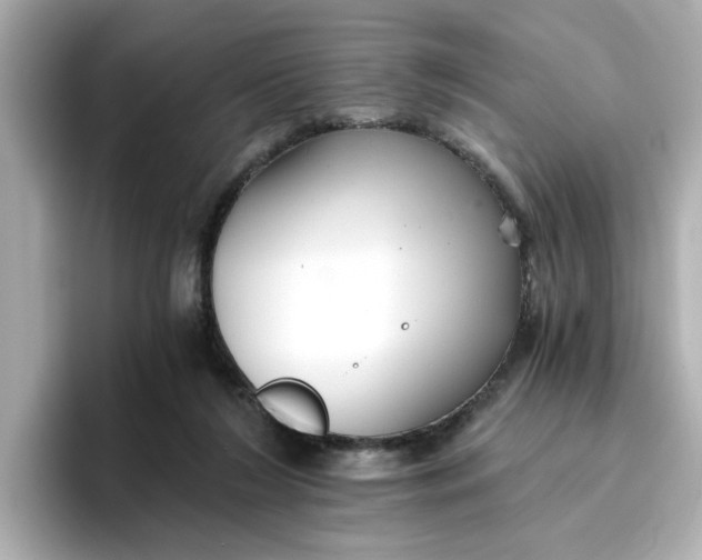 X0000096660212200802261350