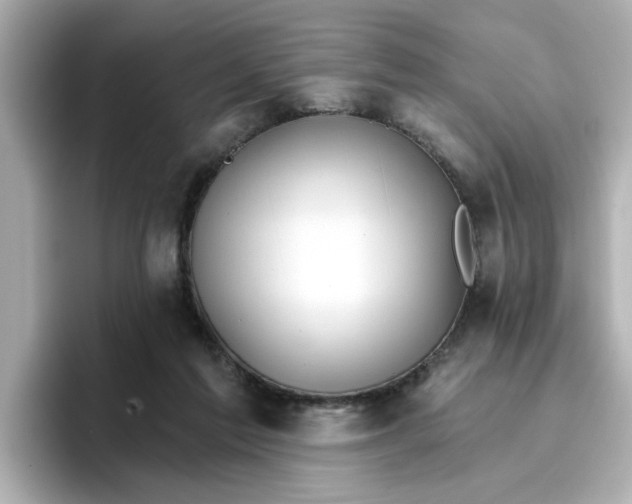 X0000096660213200802261350