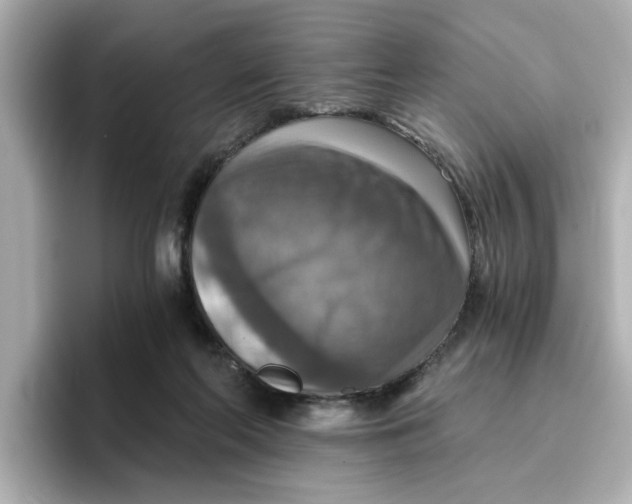 X0000096660214200802261350