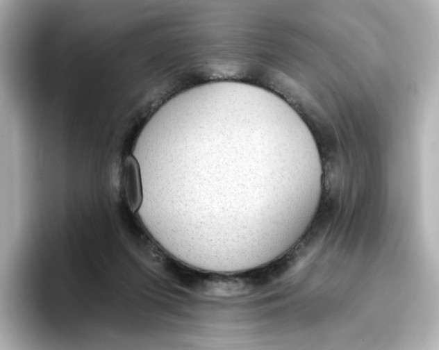 X0000096660215200802261350