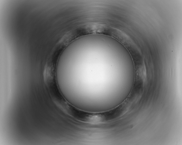 X0000096660218200802261350