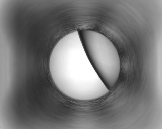 X0000096660219200802261350