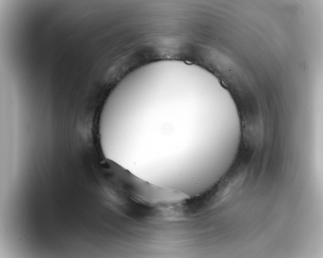 X0000096660221200802261350