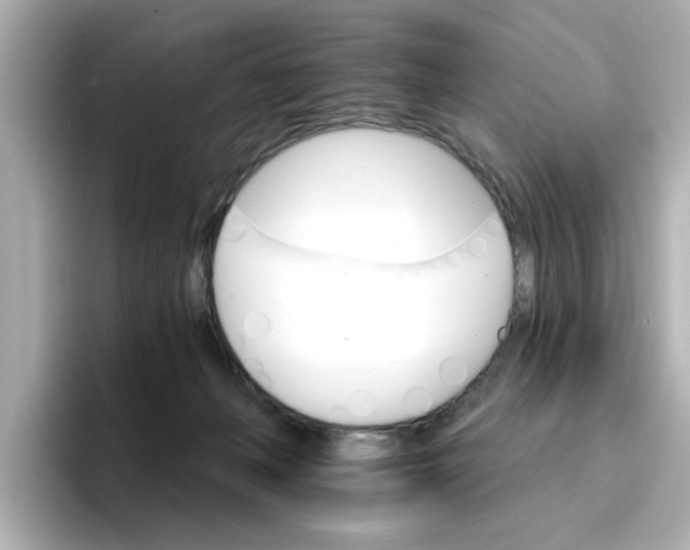 X0000096660222200802261350