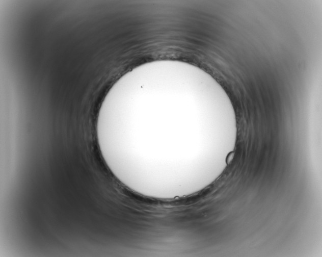 X0000096660224200802261350