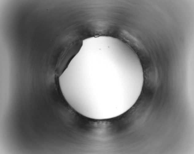 X0000096660225200802261350