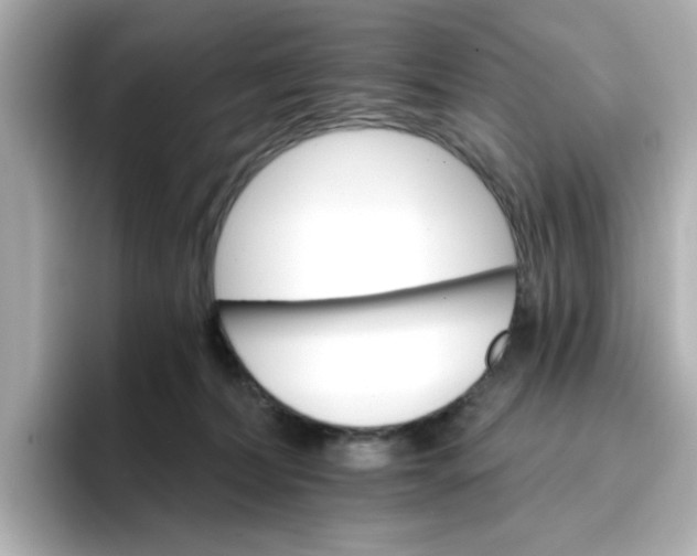 X0000096660228200802261350