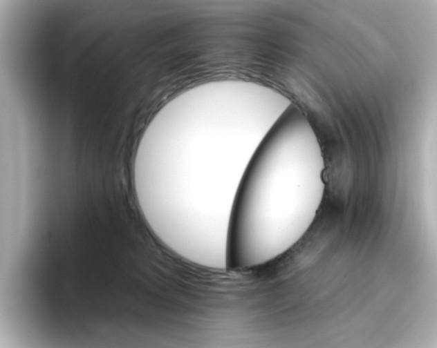 X0000096660229200802261350