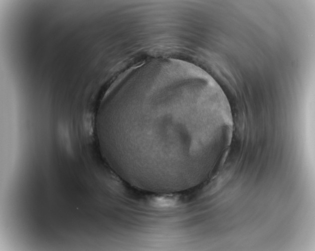 X0000096660232200802261350