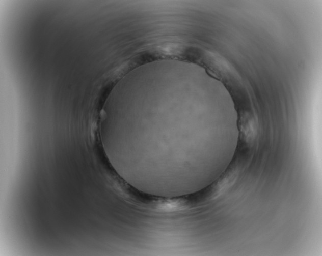 X0000096660235200802261350