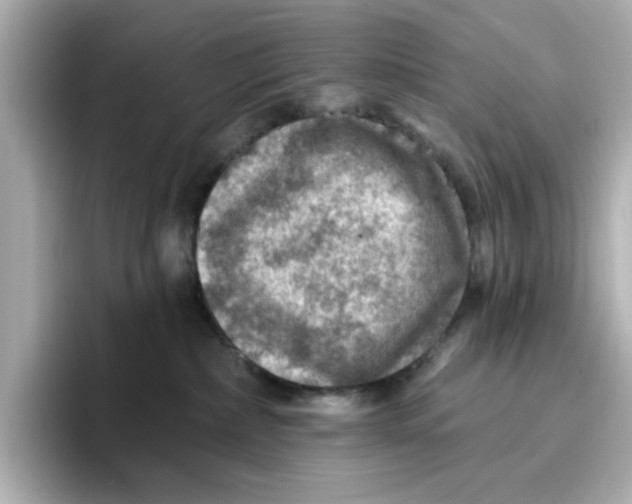 X0000096660236200802261350