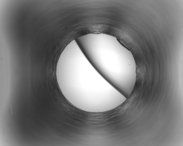 X0000096660237200802261350