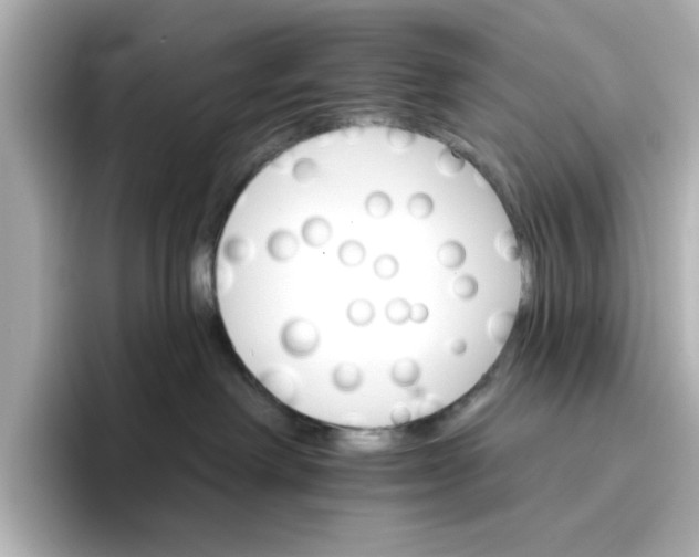 X0000096660238200802261350