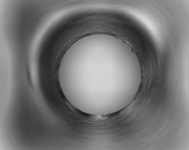 X0000096660239200802261350