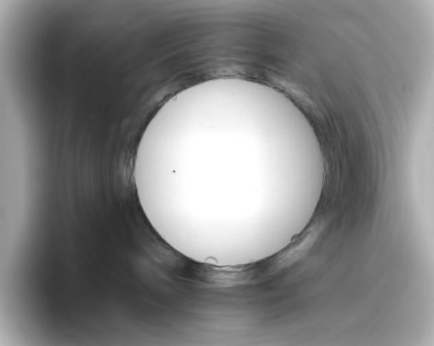 X0000096660240200802261350