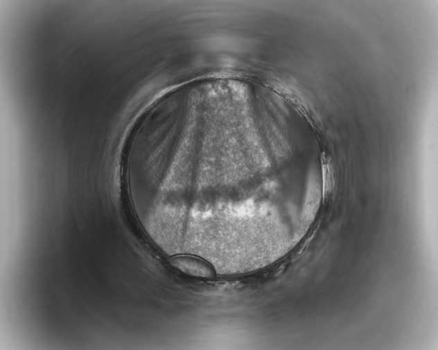 X0000096660243200802261349