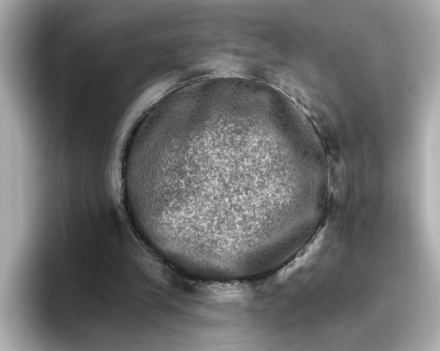 X0000096660245200802261349