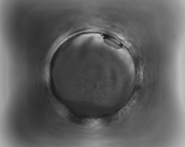 X0000096660247200802261349