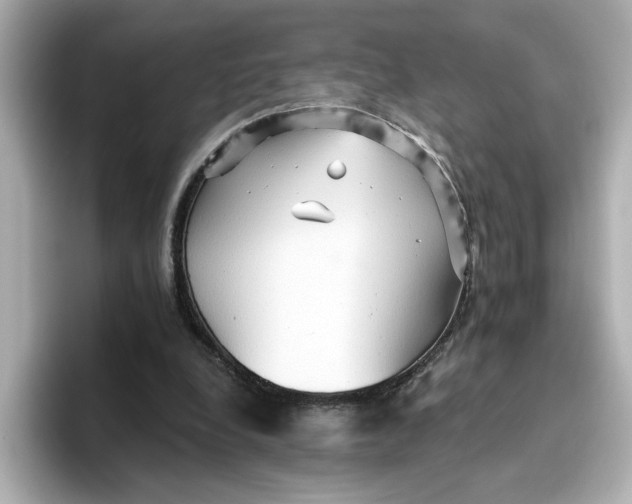 X0000096660248200802261349