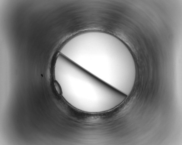 X0000096660252200802261349