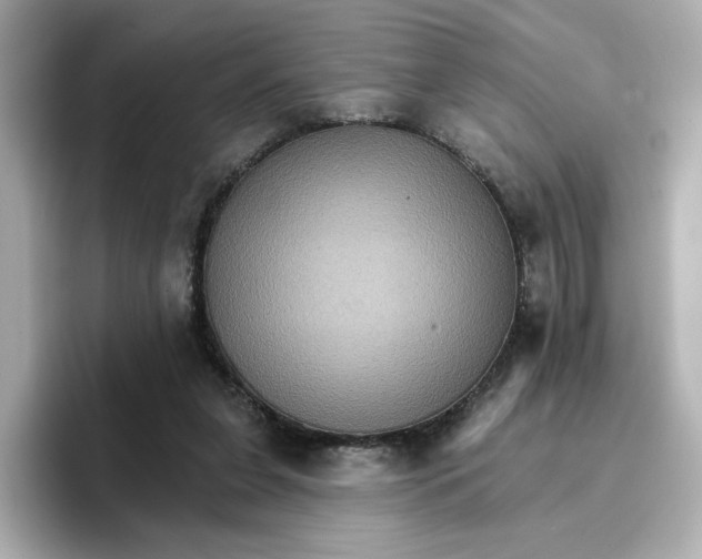 X0000096660255200802261349