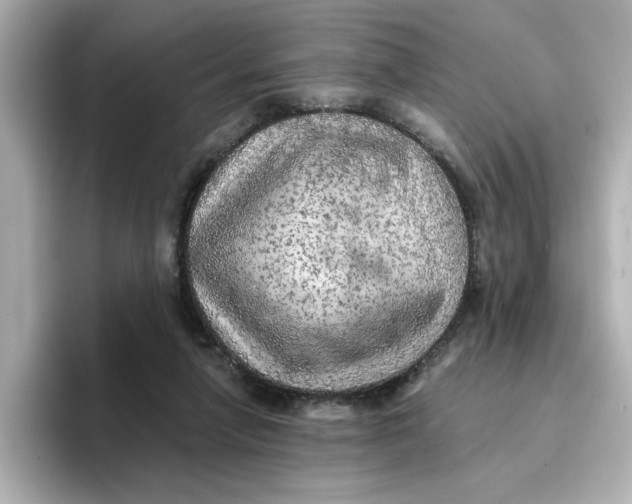 X0000096660258200802261349