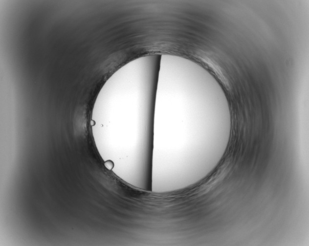 X0000096660261200802261349