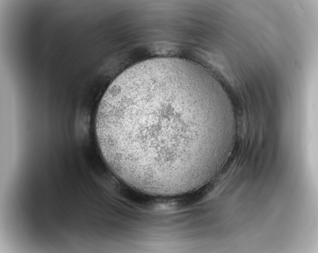 X0000096660263200802261349