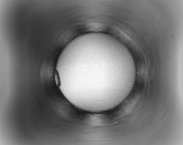 X0000096660268200802261349