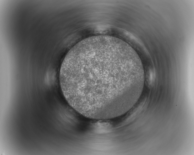 X0000096660270200802261349