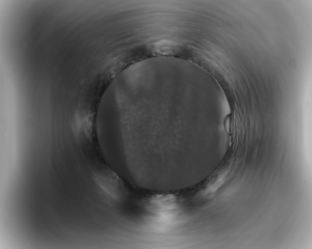 X0000096660271200802261349