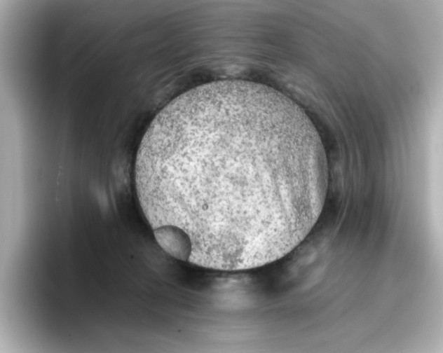 X0000096660274200802261349