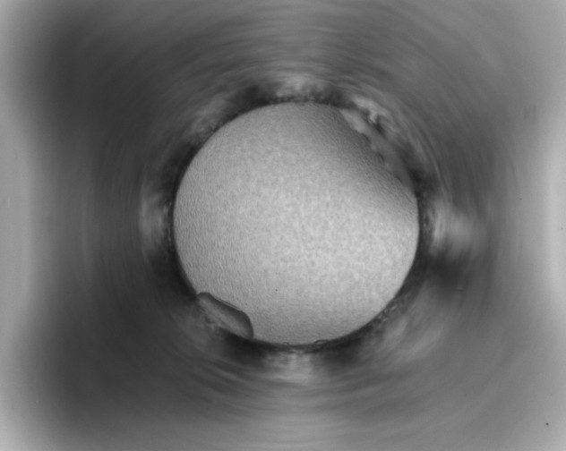 X0000096660276200802261349