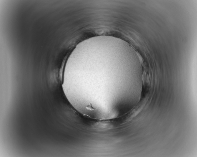 X0000096660280200802261349