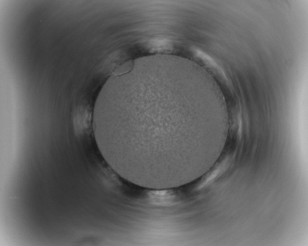 X0000096660281200802261349