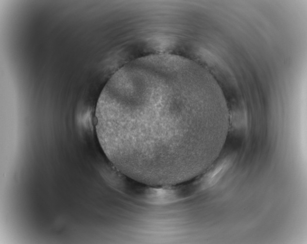 X0000096660286200802261350