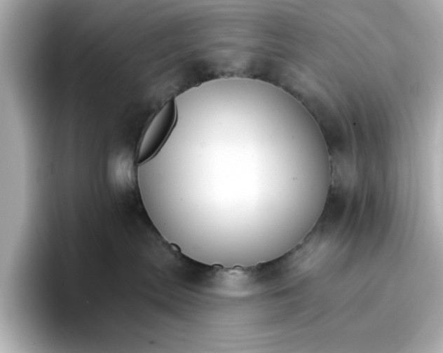 X0000096660287200802261350