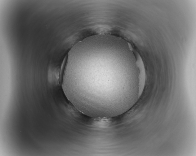 X0000096660288200802261350