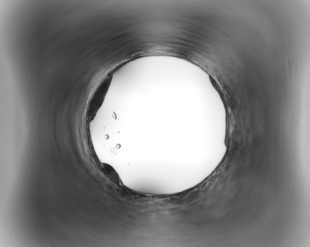 X0000096660289200802261349