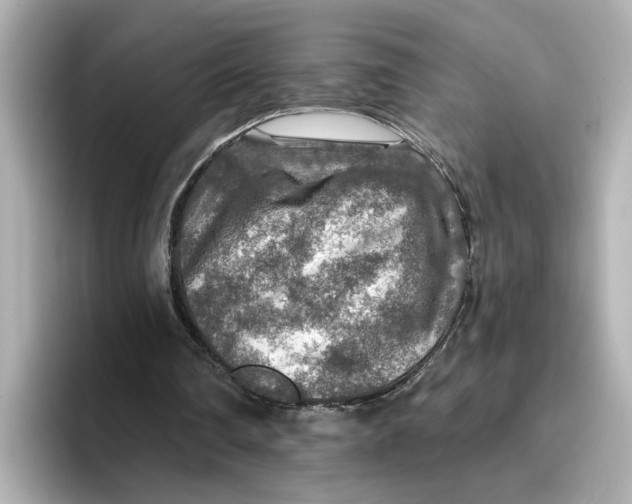 X0000096660290200802261349