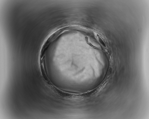 X0000096660292200802261349