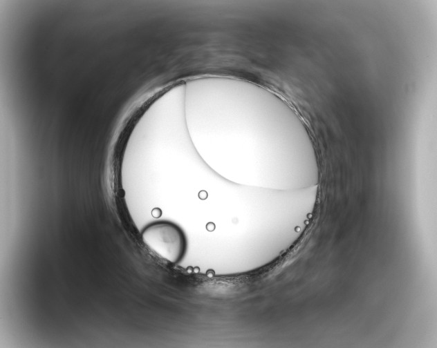 X0000096660294200802261349