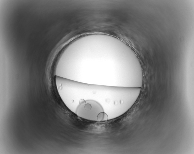 X0000096660295200802261349