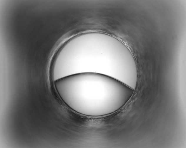 X0000096660296200802261349