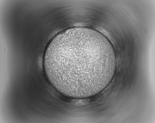 X0000096660297200802261349